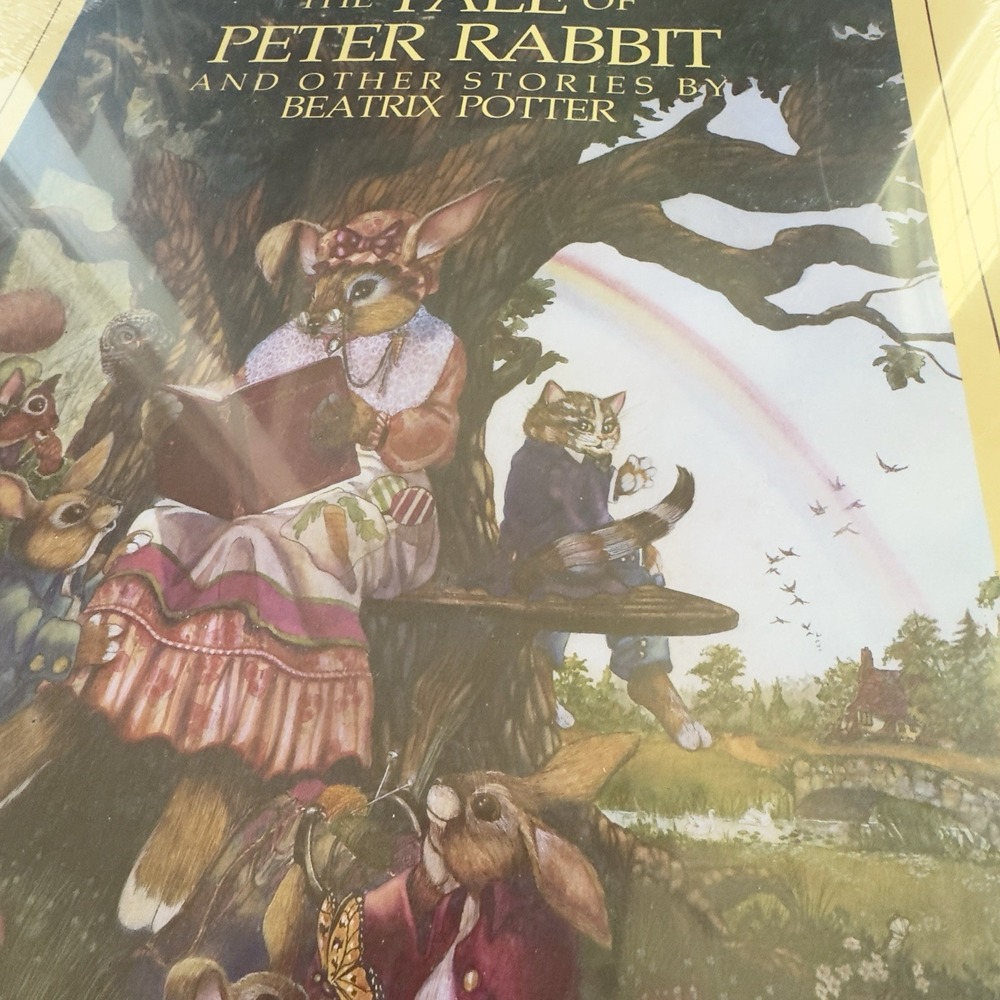 1982 Sealed Beatrix‎ Potter Tale of Peter Rabbit Poster NEW Allen Atkinson Art - Picture 6 of 6